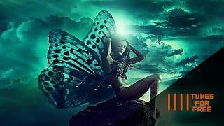 #myfreemp3 #housemusic  free to use music butterfly effect