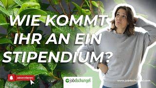 STIPENDIUM bekommen: meine Tipps als Mehrfach-Stipendiatin