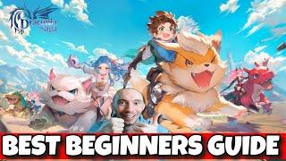 BEST Beginners Guide & Code Draconia Saga CBT