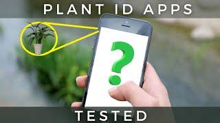 What Plant Identifier App Is Best?  I Tested Them,.