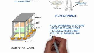 What is "Structure"..? and what is "Structural Design"..?