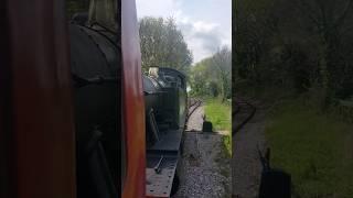 East Somerset Railway on 7th may 2025 With GWR 4555 Decending Down Into Mendip Vale Station 