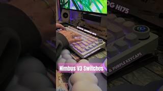 Leobog Hi75 w/ Nimbus V3 Switches #keyboardasmr #typingasmr #typing #keeb #mechanicalkeyboard #asmr