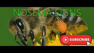 Honey Bee Nosema - Identifying and Treating 2021