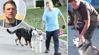 Ben Afflecks Dogs Get Loose In The Street And Paparazzi Come To The Rescue!