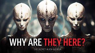 Paul Wallis - WHY ARE THEY HERE? The Secret Alien Agenda - What You NEED to Know!  Documentary