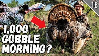 Hunting FIRED UP Gobblers!  (Awesome Texas Turkey Hunt!)