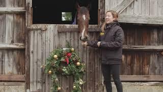 Gift tickets to friends and family with the Racehorse Lotto Christmas Raffle