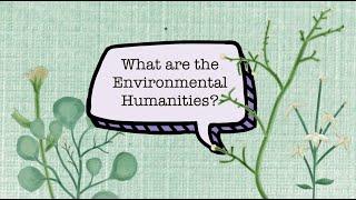 What are the environmental humanities?