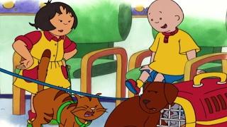 Animated Cartoons | Caillou Full Episodes HOUR LONG Caillou goes to School