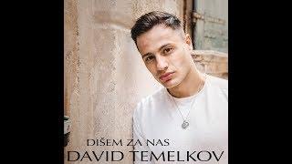 David Temelkov - Nekako ću te preboljeti (OFFICIAL AUDIO)