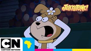 Robot Battle | Jellystone! | Cartoon Network Africa