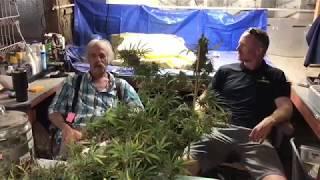 Potting Bench Farms - No HVAC Cannabis Grow | Episode 1