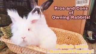 Pros & Cons of Owning Rabbits! | COLLAB WITH AURANDTFAMILY |