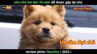 Chú chó Chờ đợi 10 năm để được Gặp lại Chủ - Review phim Hachiko 2023