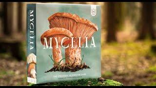 Mycelia | Gameplay overview