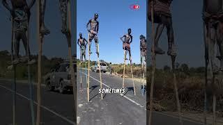 They Walk Like Giants… and Here’s Why? #shorts #TribeLife