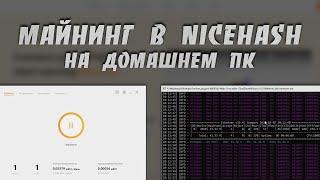 Как Майнить в Nicehash на Домашнем ПК | Подробная Пошаговая Инструкция | Вывод с Nicehash | LHR