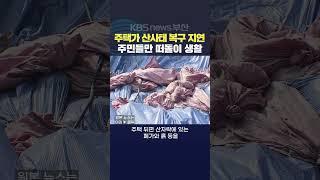 2024.10.11 부산산사태 폭우피해 집중호우 극한호우 복구공사 침수피해 복구지연 김아르내기자