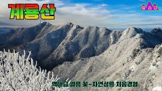 [충남 계룡산] 역대급 얼름꽃,설화,상고대 3박자+1등조망 처음 보는 자연성릉 완벽한 설산ㅣ겨울 등산가이드 눈꽃 터널ㅣ영상인데 올라보니 여기대박