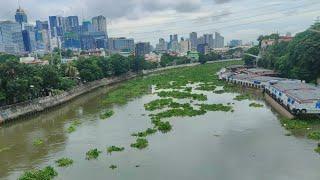 DALAWANG ISLA PA!BUMALIK MGA WATER HYACINTS!BINAKBAK NA KALSADA!PASIG RIVER ESPLANADE