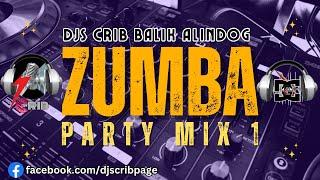 DJs Crib Zumba Party Mix 1