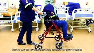 [Neolee] Deluxe Rollator - Malaysia