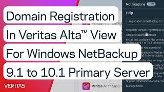 Domain Registration in Veritas Alta™ View for Windows NetBackup 9.1 to 10.1 Primary Server