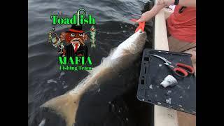 Toad Fish Mafia Fishing Team - Bull Red for Tim the Trout Sensei