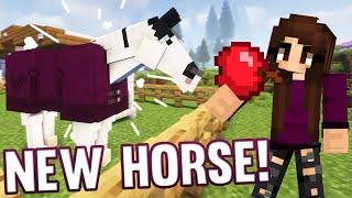 OUR FIRST HORSE! *SWEM Survival* | Minecraft Horse Edition