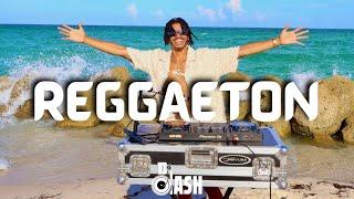 REGGAETON Mix 2024 | The Best of REGGAETON 2024 by DJ DASH