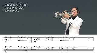 사랑의 슬픔(벗님들)Flugelhorn Cover Moon Jaeho