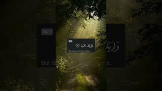 Noor Wala Aya Ha - Farhan Ali Qadri #islam #freepalestine #shorts #youtubeshorts #shortvideo #viral