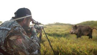 Hunting Serbia - Wild boar and quail hunting | Lov divlje svinje i prepelice u Vojvodini kod Sečnja