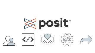 What is Posit Team?