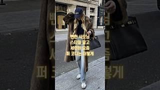 코디센스가 돋보이는 뻔하지 않는 퍼 코트 모피코트 패션코디 모음 옷 잘입는법 #퍼코트 #옷잘입는법 #겨울코디 #룩북 #furcoat #outfits #winterfashion