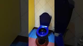 Весёленький туалет в одном столичном театре
