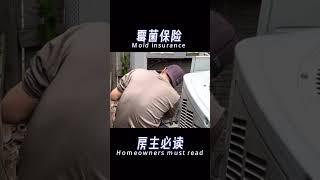 美国房东必看 霉菌保险