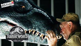 Best of Dinosaurier | Jurassic World - Das gefallene Königreich | Screen Schnipsel