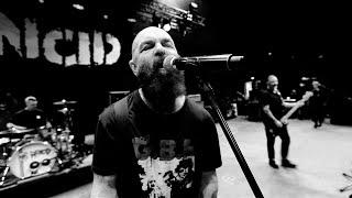 Rancid - "Live Forever"