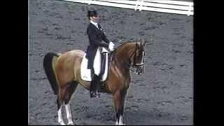Kathleen Raine riding Avontuur - Volvo World Cup 1994