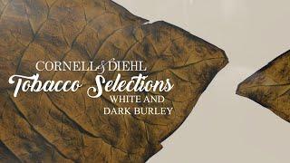 Tobacco Selections: White and Dark Burley