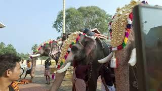 Elephants getting ready @ Kunissery Ayyappan Vilakku