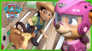 Pups Save a Flying Farmer Yumi! - PAW Patrol Episode - Cartoons for Kids