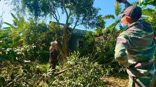 grass overgrown was as luxuriant as the Amazon forest so we were shocked when we cleaned garden