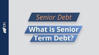 Senior Debt: What is Senior Term Debt?