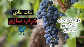 نکات طلایی شراب سازی؛ چطور یک شراب با کیفیت درست کنیم