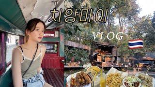 태국 여행 VLOG#1 방콕 찍먹하고 치앙마이로 ~ ️ 치앙마이 올드시티 | sp치킨 | 양컴빌리지