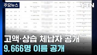 김진명, 이혁재, 에드워드 권 등 고액·상습 체납자 명단 공개 / YTN