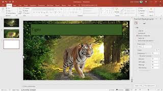 PowerPoint   2   Picture effects